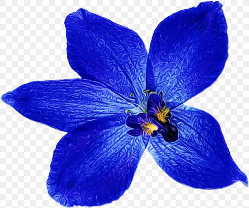 Flowering Plant Blue Flower Petal Plant, PNG, 940x786px, Watercolor, Blue, Cobalt Blue, Delphinium, Flower Download Free