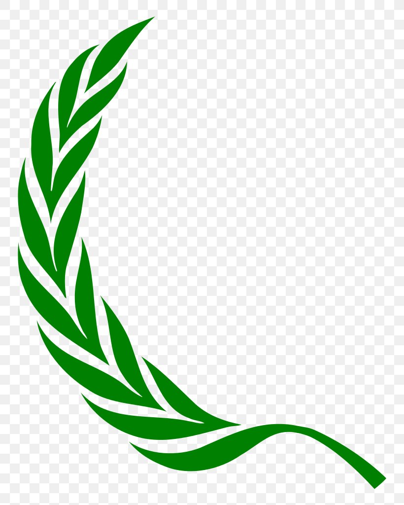 Laurel Wreath Bay Laurel Olive Wreath Clip Art, PNG, 814x1024px, Laurel Wreath, Artwork, Bay Laurel, Cherry Laurel, Christmas Download Free