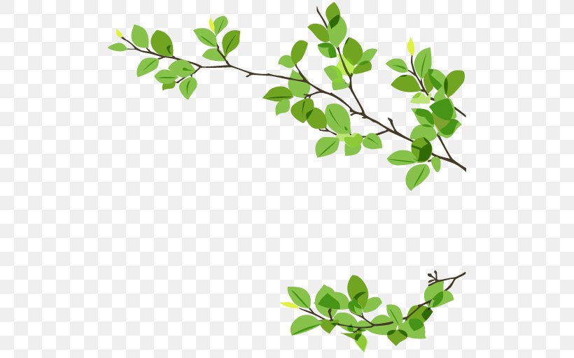 Leaf Branch Twig Green, PNG, 512x512px, Leaf, Branch, Bud, Flowering ...