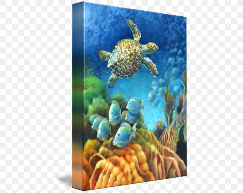Loggerhead Sea Turtle Coral Reef Fish Underwater, PNG, 452x650px, Loggerhead Sea Turtle, Coral, Coral Reef, Coral Reef Fish, Ecosystem Download Free