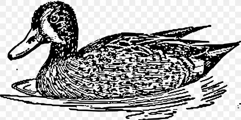 Swim Water Duck Vector, PNG, 1875x939px, American Pekin, Beak, Bird, Black And White, Domestic Duck Download Free