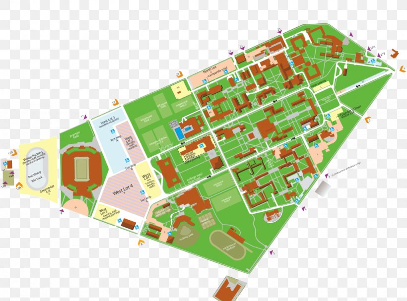 University Of Houston Campus Of Rice University Sam Houston State University Rice University, PNG, 1024x759px, University Of Houston, Area, Campus, Campus Of Rice University, Faculty Download Free