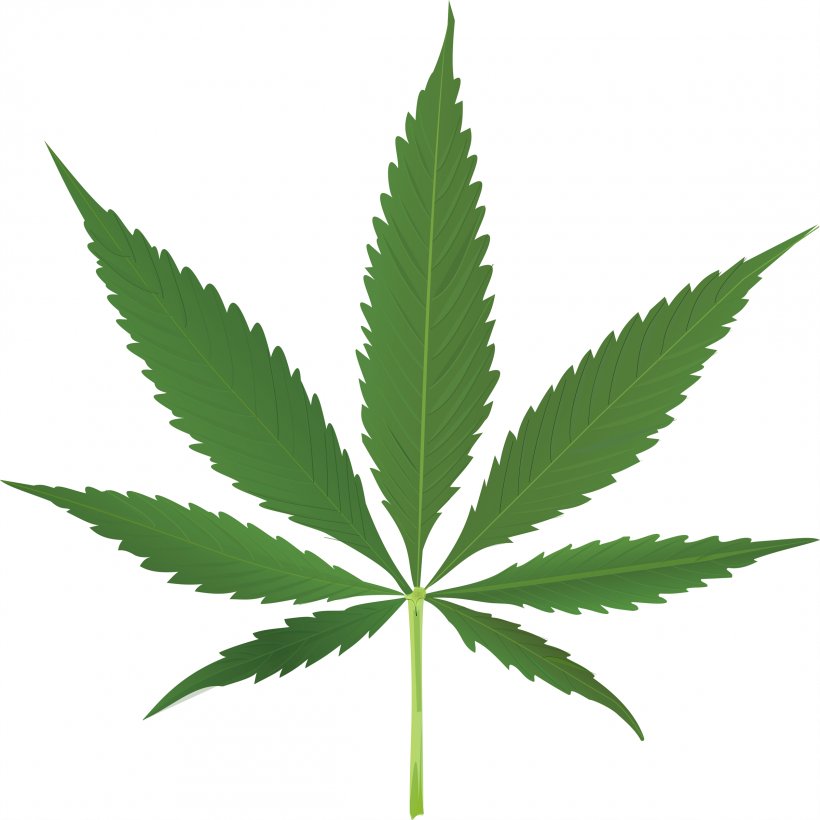 Cannabis Leaf Hemp Clip Art, PNG, 2400x2400px, 420 Day, Cannabis, Cannabis Smoking, Drug, Hemp Download Free
