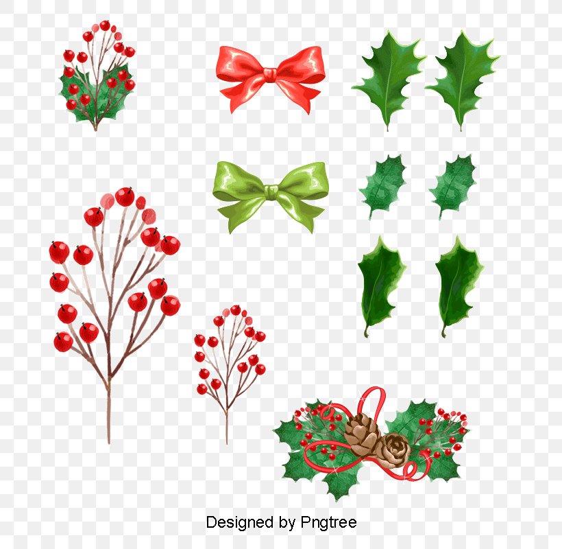 Christmas Tree Drawing, PNG, 800x800px, Leaf, Aquifoliales, Christmas Day, Christmas Ornament, Common Holly Download Free