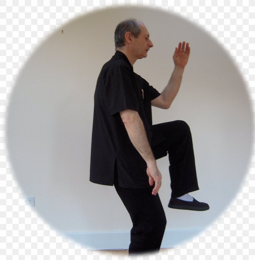 Continuing Tai Chi Mount Tai Keyword Research Qigong, PNG, 2512x2562px, Tai Chi, Arm, Baguazhang, Class, Continuing Tai Chi Download Free