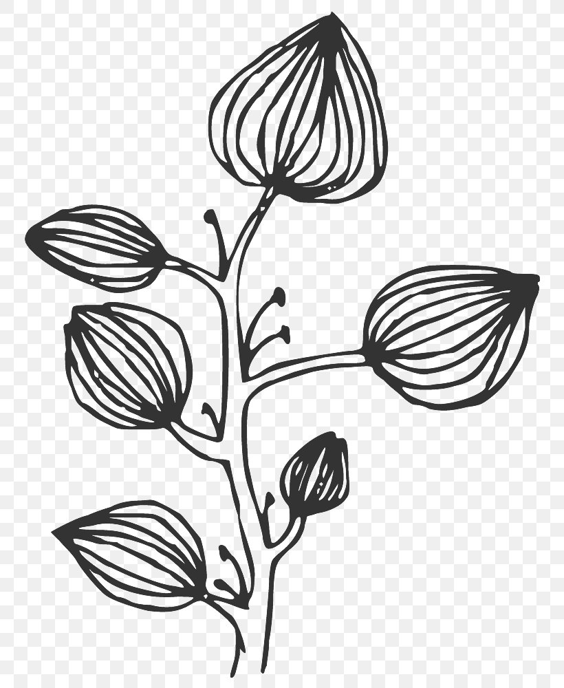 Floral Black Line Art., PNG, 800x1000px, Reiki, Artwork, Bach Flower Remedies, Black, Black And White Download Free