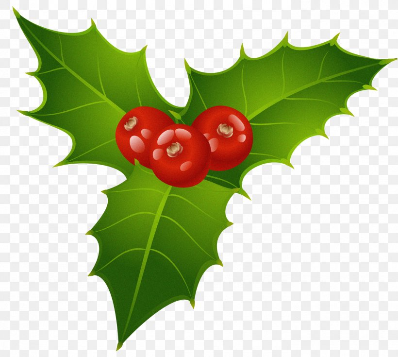 Mistletoe Phoradendron Tomentosum Christmas Clip Art, PNG, 1392x1248px, Mistletoe, Aquifoliaceae, Aquifoliales, Berry, Christmas Download Free