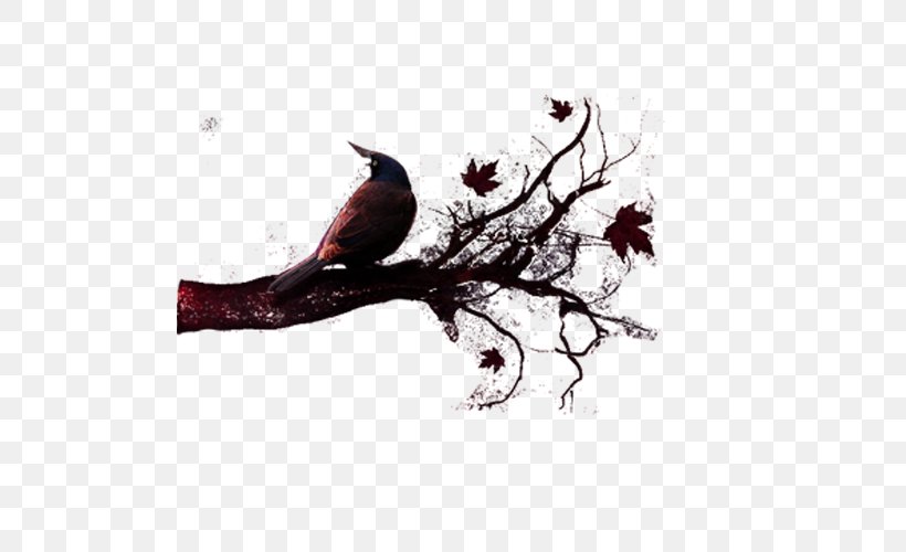 Tree Wallpaper, PNG, 500x500px, Tree, Beak, Bird, Blog, Branch Download Free