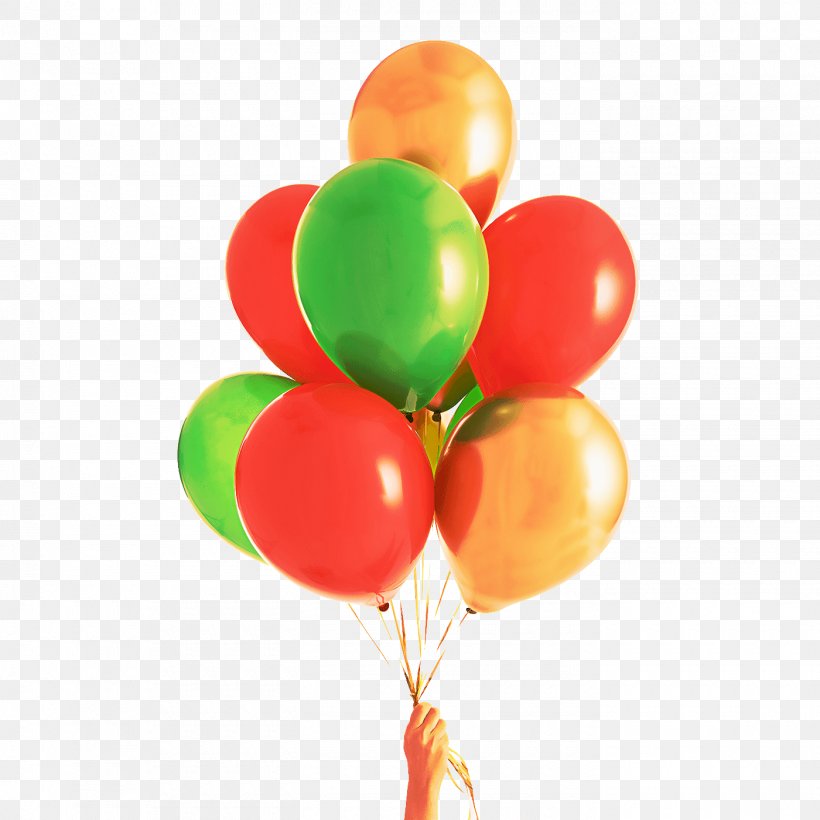 Balloon Party Supply Toy Plant, PNG, 1400x1400px, Balloon, Party Supply, Plant, Toy Download Free
