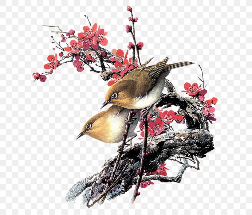 Bird Watercolor Painting Chinese Painting, PNG, 700x700px, Bird, Art, Beak, Branch, Canvas Download Free
