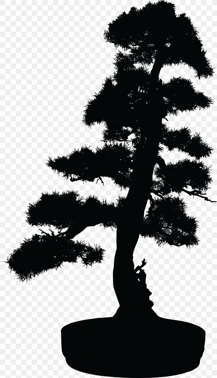 Bonsai Tree Silhouette Clip Art, PNG, 4000x6977px, Bonsai, Black And White, Conifer, Houseplant, Indoor Bonsai Download Free