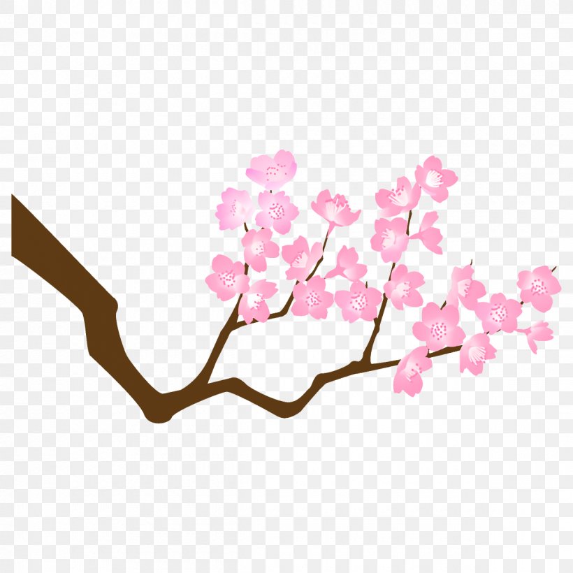 Cherry Blossom, PNG, 1200x1200px, Branch, Blossom, Cherry Blossom, Cut Flowers, Flower Download Free