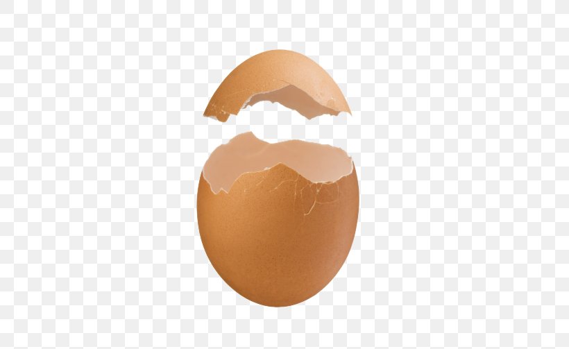 Eggshell Peel, PNG, 560x503px, Egg, Bird Egg, Camera, Chicken Egg, Egg White Download Free