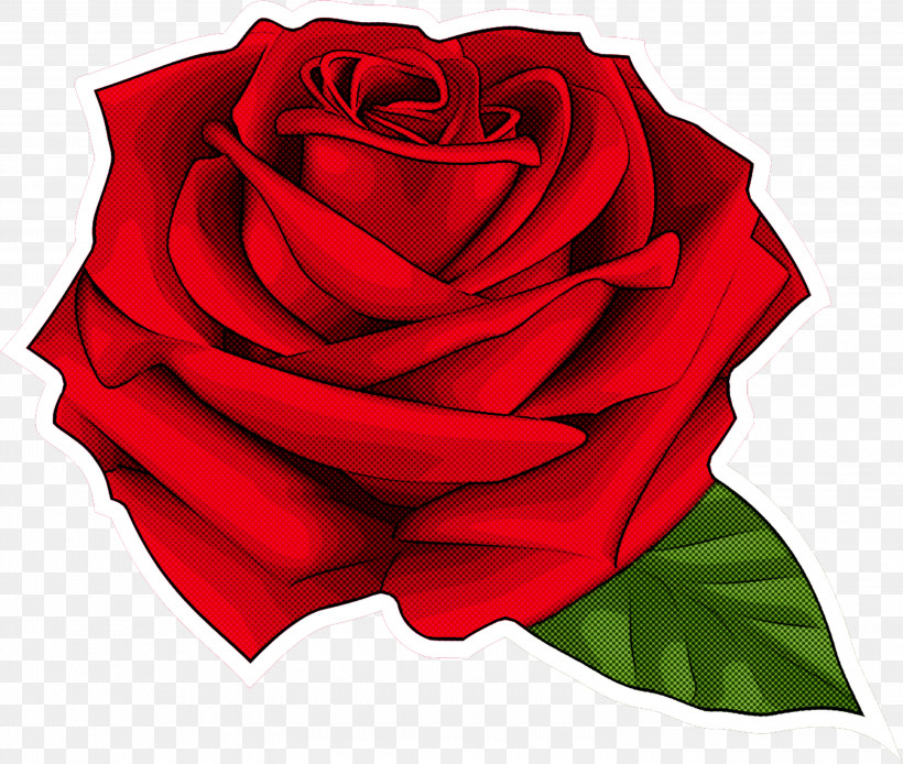 Garden Roses, PNG, 3000x2542px, Rose, Floribunda, Flower, Garden Roses, Hybrid Tea Rose Download Free