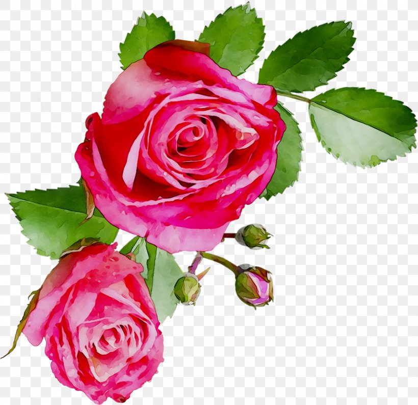 Garden Roses Cabbage Rose Floribunda Floral Design Cut Flowers, PNG, 1245x1208px, Garden Roses, Artificial Flower, Bouquet, Cabbage Rose, Camellia Download Free