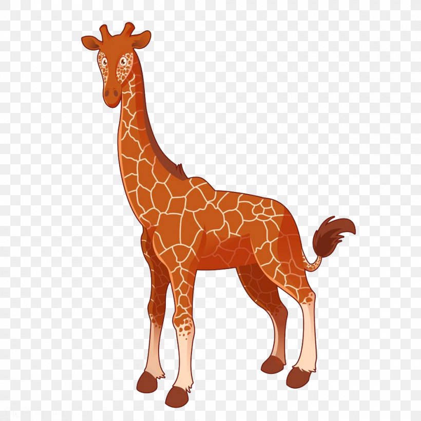 Giraffe Cartoon Royalty-free Illustration, PNG, 1000x1000px, Giraffe, Cartoon, Deer, Giraffidae, Mammal Download Free