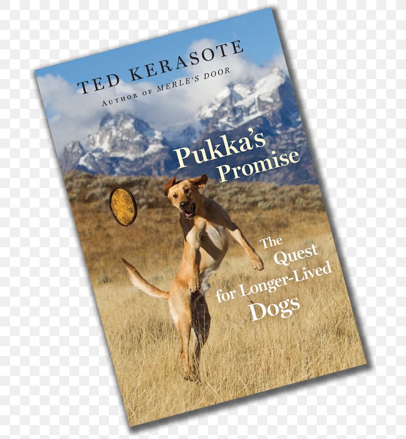 Pukka's Promise: The Quest For Longer-Lived Dogs Pukka: The Pup After Merle Barking: The Sound Of A Language Shy Boy, PNG, 700x888px, Dog, Advertising, Animal, Audiobook, Bark Download Free