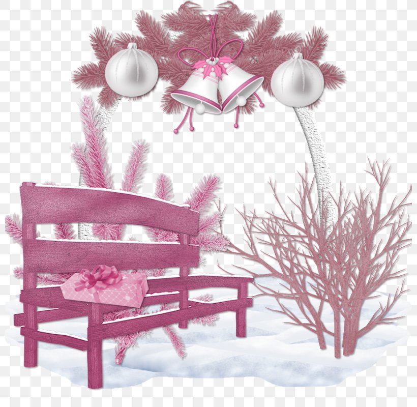 Christmas Picture Frames Winter Cluster, PNG, 800x800px, Christmas, Branch, Christmas Lights, Flower, Party Download Free