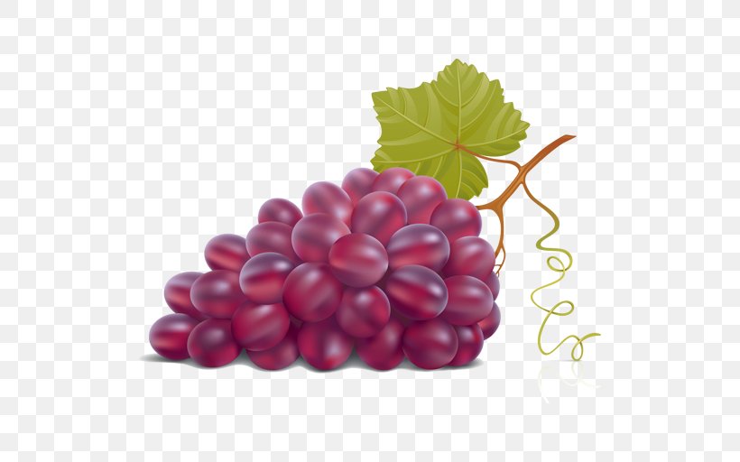 Kyoho Juice Wine Grape, PNG, 512x512px, Kyoho, Berry, Blackberry, Boysenberry, Common Grape Vine Download Free