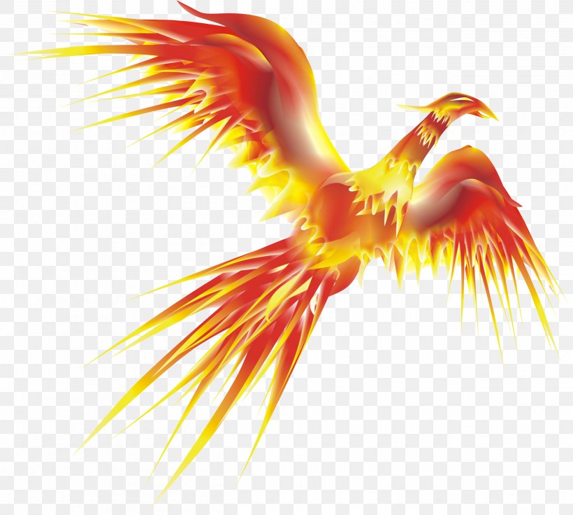 Phoenix Display Resolution, PNG, 2604x2340px, Phoenix, Beak, Bird, Close Up, Display Resolution Download Free