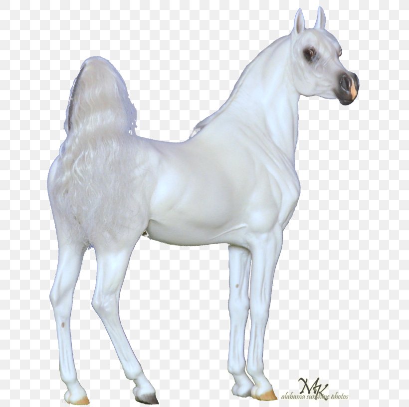Stallion Mustang Foal Mare Colt, PNG, 659x815px, Stallion, Animal Figure, Colt, Figurine, Foal Download Free