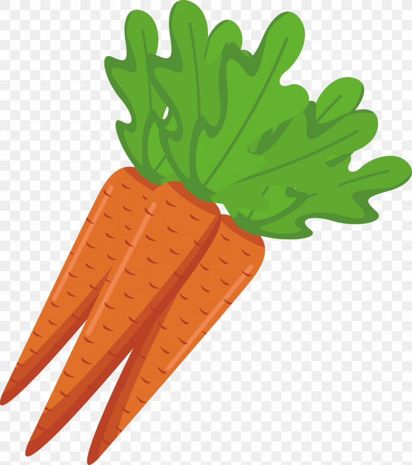 Carrot Vegetarian Cuisine Veggie Burger Food, PNG, 2418x2736px, Carrot, Daucus Carota, Eating, Food, Health Download Free