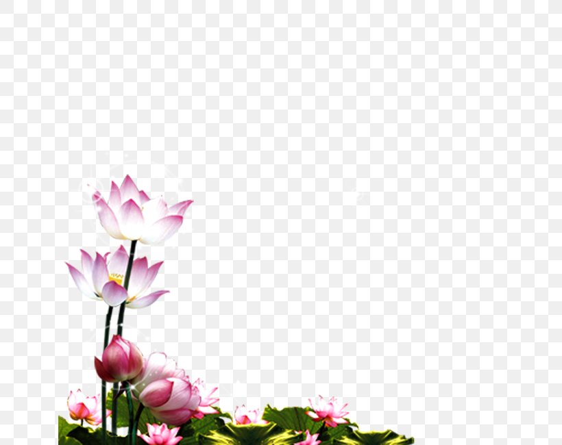 Download Clip Art, PNG, 650x650px, Floral Design, Blossom, Computer, Computer Network, Cut Flowers Download Free