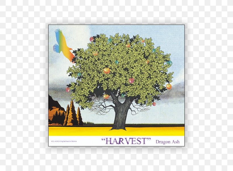 Harvest Dragon Ash Album Río De Emoción Fantasista, PNG, 600x600px, Watercolor, Cartoon, Flower, Frame, Heart Download Free