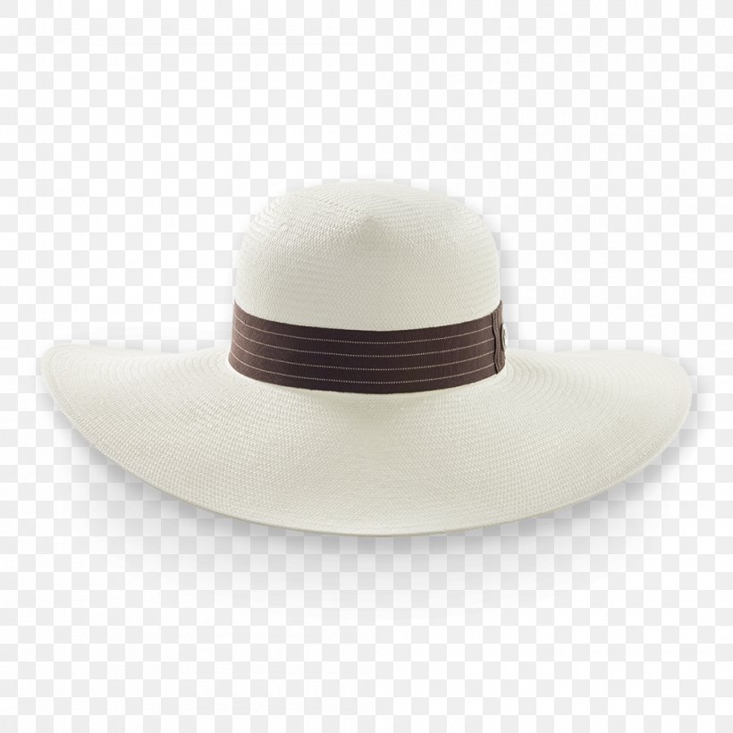 Hat, PNG, 1000x1000px, Hat, Headgear Download Free