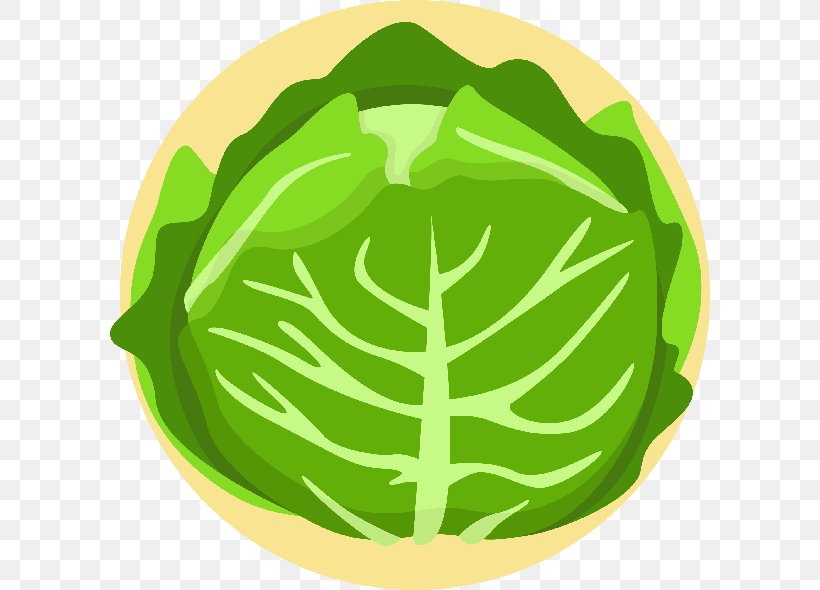 Lettuce Salad Vegetable Vegetarian Cuisine Cabbage, PNG, 600x590px, Lettuce, Cabbage, Commodity, Food, Fruit Download Free