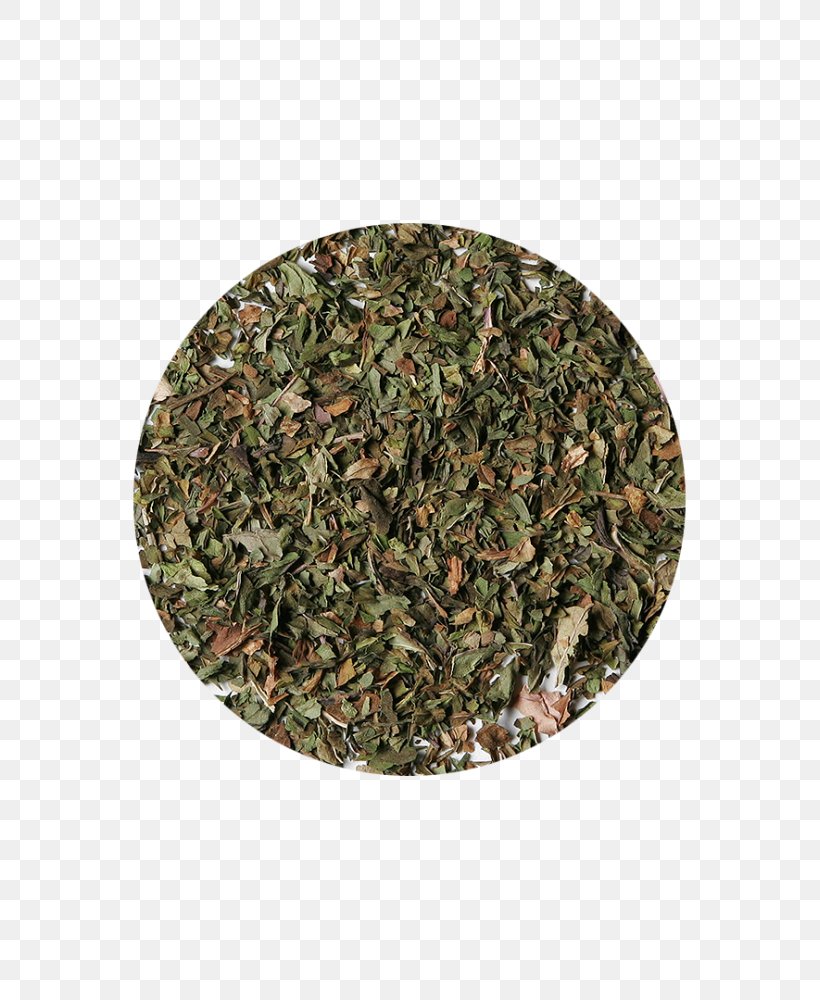 Sencha Green Tea Coffee Camellia Sinensis, PNG, 667x1000px, Sencha, Black Tea, Camellia Sinensis, Camouflage, Coffee Download Free