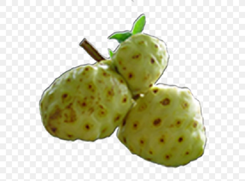 Cheese Fruit Food Health Annona Morinda, Inc., PNG, 606x606px, Cheese Fruit, Annona, Auglis, Diet, Eating Download Free