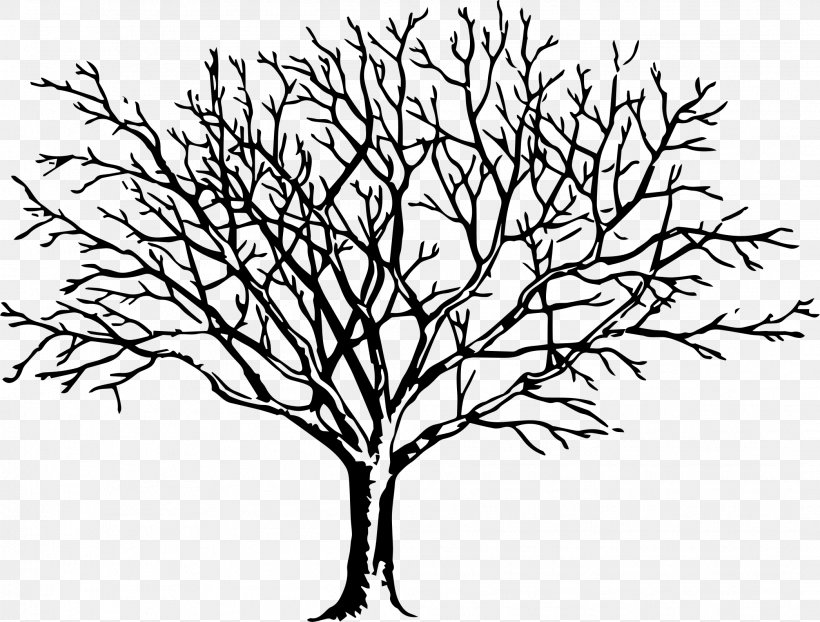 Clip Art Drawing Tree Free Content Image, PNG, 2092x1588px, Drawing, Art, Blackandwhite, Botany, Branch Download Free