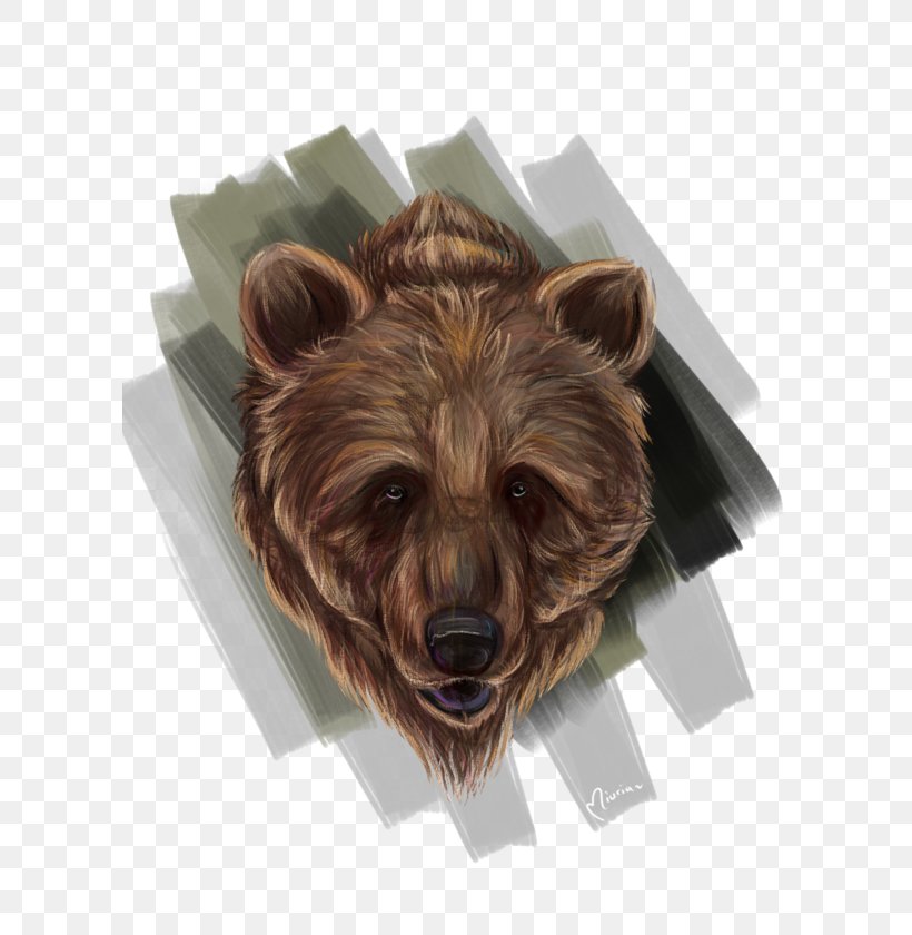 Grizzly Bear Fur Alaska Peninsula Brown Bear Snout, PNG, 600x840px, Grizzly Bear, Alaska Peninsula Brown Bear, Bear, Brown Bear, Carnivoran Download Free