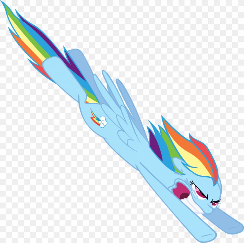 Rainbow Dash Pony Sonic Rainboom YouTube, PNG, 896x892px, Rainbow Dash, Brush, Cutie Mark Chronicles, Cutie Mark Crusaders, Feather Download Free