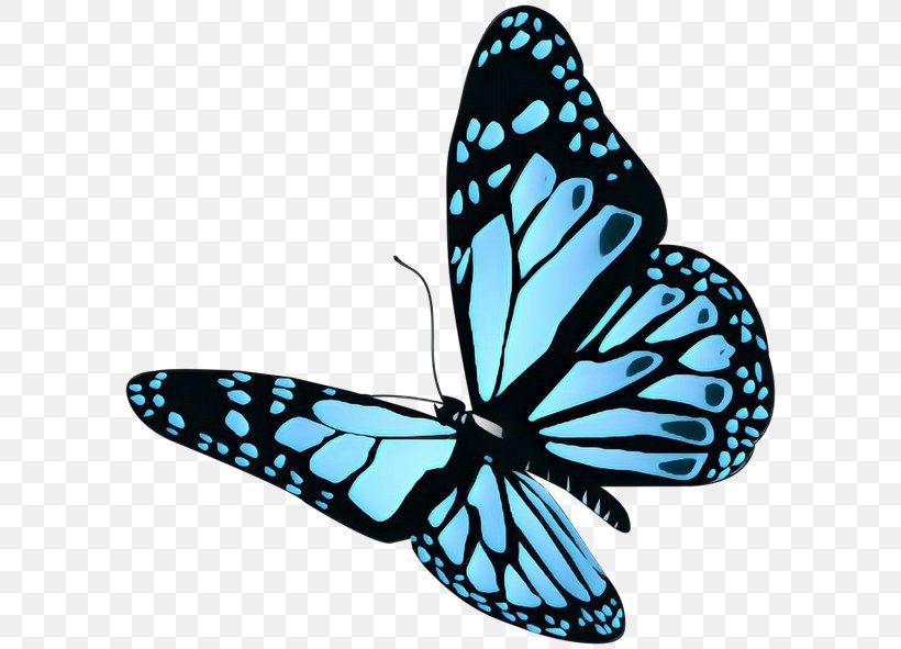 Butterfly Stock Photography Insect Vector Graphics Illustration, PNG, 600x591px, Butterfly, Arthropod, Blue Morpho, Brushfooted Butterfly, Clip Butterfly Download Free