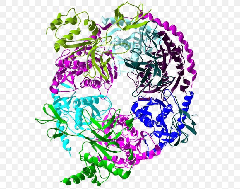 Exosome Complex RNA Protein Complex Exoribonuclease Cell, PNG, 600x645px, Exosome Complex, Archaeans, Biochemistry, Biology, Cell Download Free