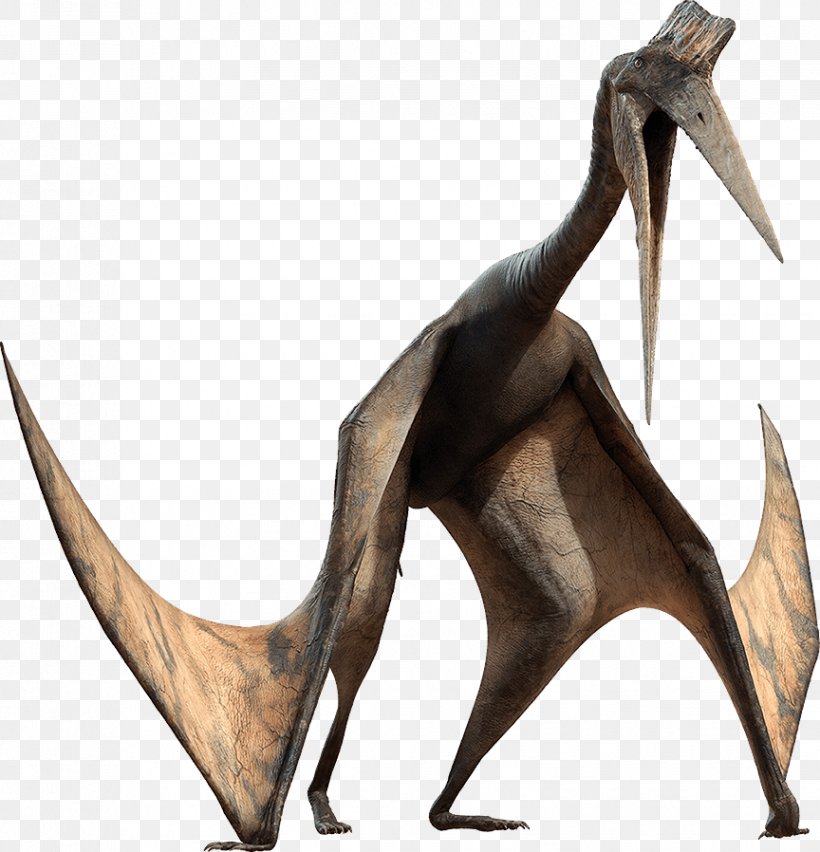 Pterosaurs Quetzalcoatlus Dinosaur Pachyrhinosaurus ARK: Survival Evolved, PNG, 864x898px, Pterosaurs, Ark Survival Evolved, Chased By Dinosaurs, Dinosaur, Neoazhdarchia Download Free