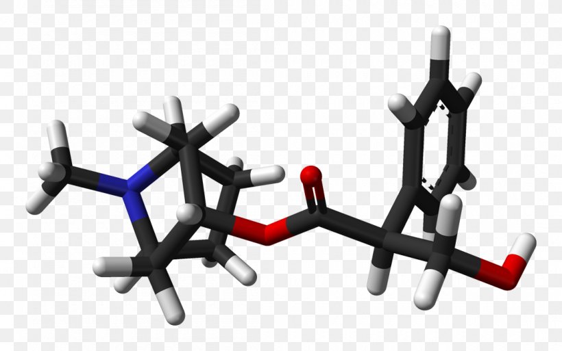 Belladonna Atropine Hyoscyamine Hyoscine Alkaloid, PNG, 1100x689px, Belladonna, Acetylcholine, Acid, Alkaloid, Atropa Download Free