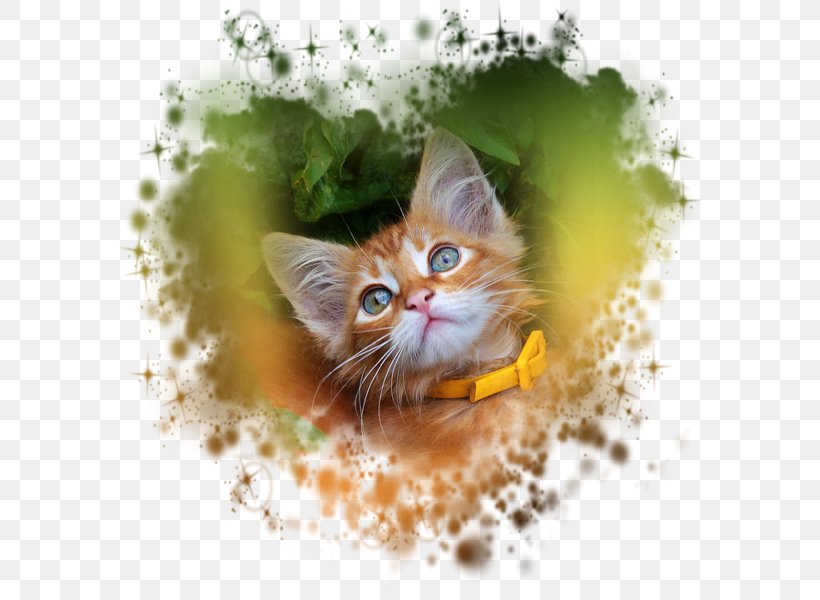 Cat Germany Kitten Watercolor Painting, PNG, 600x600px, Cat, Animal, Animation, Carnivoran, Cartoon Download Free