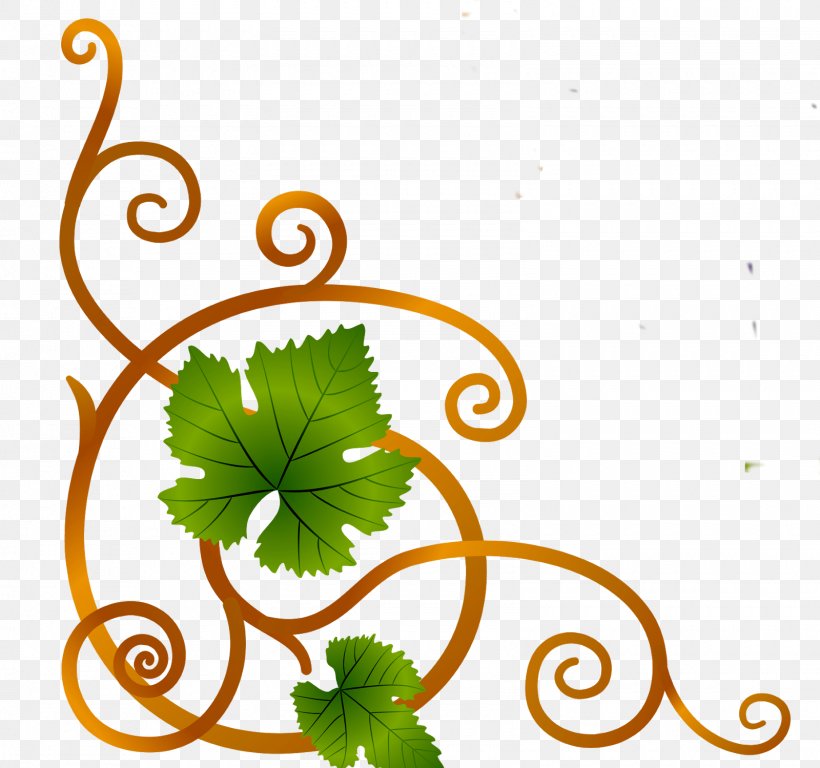 Common Grape Vine Wine Sultana Vector Graphics, PNG, 1600x1499px, Common Grape Vine, Artwork, Branch, Drawing, Flora Download Free