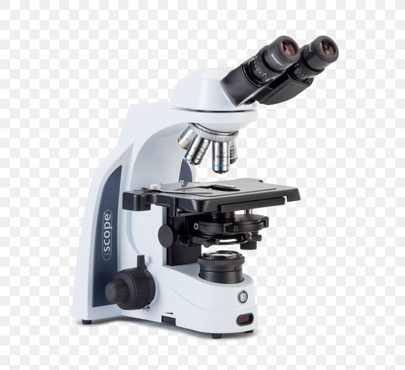 Microscope Binoculair Phase Contrast Microscopy Objective, PNG, 563x750px, Microscope, Binoculair, Binoculars, Contrast, Digital Microscope Download Free