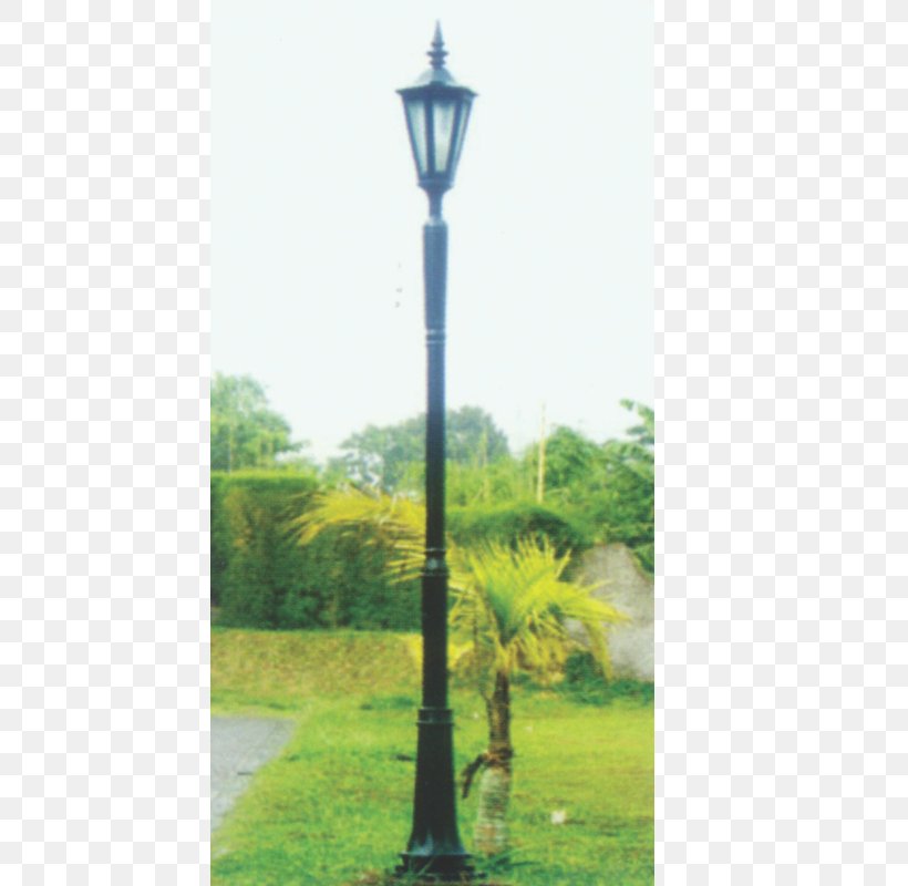 Street Light Parking Lamp Utility Pole Road, PNG, 800x800px, Street Light, Average, Grass, Jakarta, Lamp Download Free