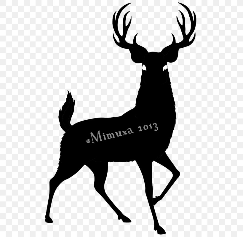 White-tailed Deer Moose Clip Art Vector Graphics, PNG, 544x800px, Deer, Antler, Biggame Hunting, Black And White, Blacktailed Deer Download Free