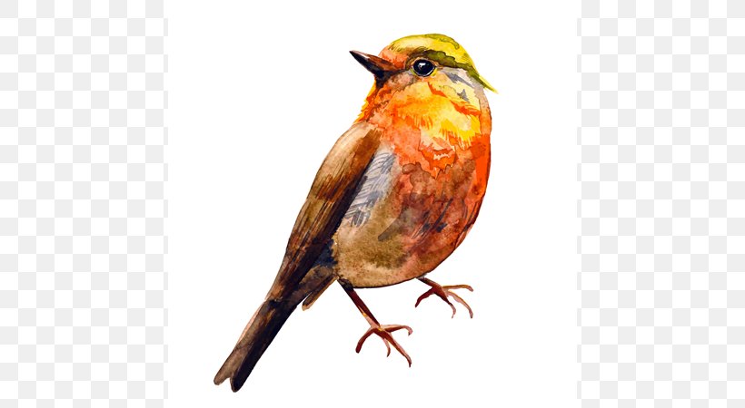 Bird European Robin Watercolor Painting Drawing, PNG, 600x450px, Bird, Beak, Decorative Arts, Digital Painting, Drawing Download Free