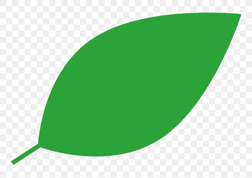 Green Leaf Line, PNG, 1004x712px, Green, Grass, Leaf, Plant Download Free