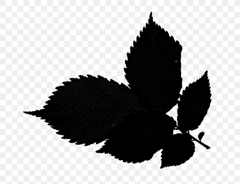Leaf Tree Wood Branch Plants, PNG, 1369x1049px, Leaf, Atmosphere Of Earth, Black, Blackandwhite, Botany Download Free