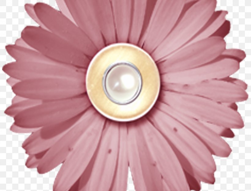 Paper Digital Scrapbooking Flower, PNG, 827x630px, Paper, Button, Collage, Digital Scrapbooking, Drawing Download Free