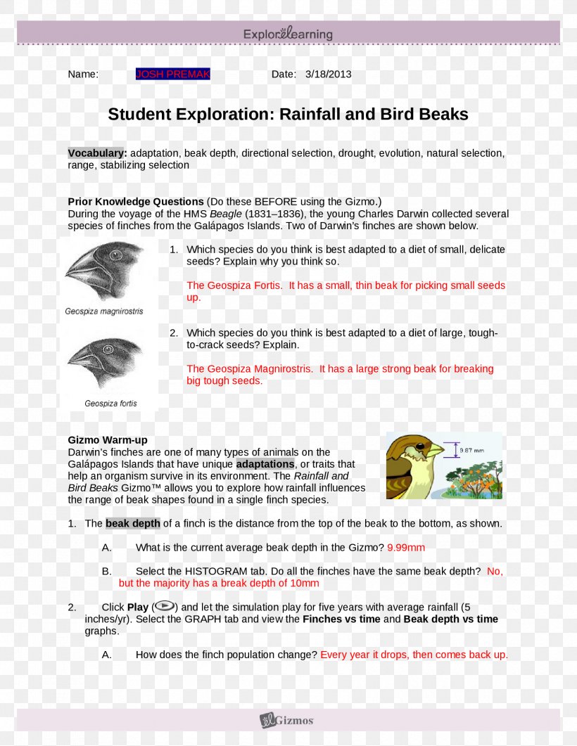 Bird Beak Ripple Tank ExploreLearning Finches, PNG, 1700x2200px, Bird, Area, Beak, Biology, Capillary Wave Download Free