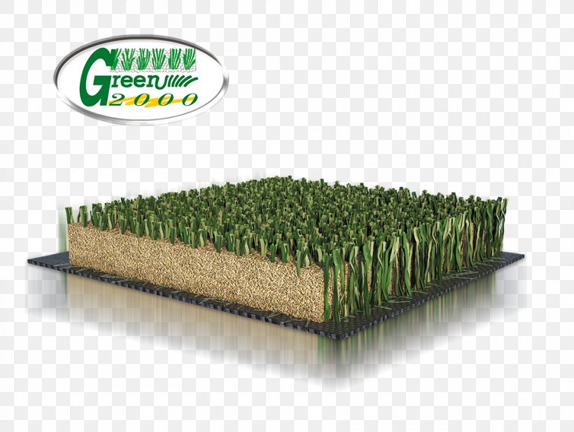 Artificial Turf Lawn Italgreen SpA Athletics Field, PNG, 1000x753px, Artificial Turf, Athletics Field, Football, Grass, Grass Family Download Free